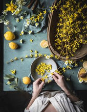 Load image into Gallery viewer, Foundations of Herbal Medicine Workshop Series