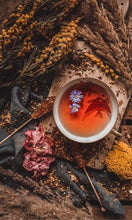 Load image into Gallery viewer, Wildcrafting in qathet Workshop