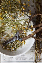 Load image into Gallery viewer, Foundations of Herbal Medicine Workshop Series