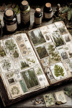 Load image into Gallery viewer, Community Supported Herbalism Monthly Baskets