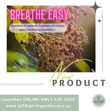 Load image into Gallery viewer, Breathe Easy Tincture