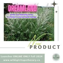 Load image into Gallery viewer, Dreamland