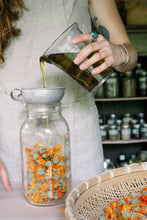 Load image into Gallery viewer, Infused Oil + Healing Salve Workshop