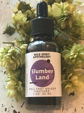 Load image into Gallery viewer, Slumberland