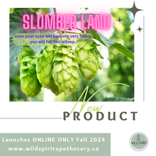 Load image into Gallery viewer, Slumberland