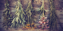 Load image into Gallery viewer, Foundations of Herbal Medicine Workshop Series