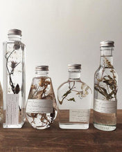 Load image into Gallery viewer, Understanding Adaptogens + Glycerine Making Workshop