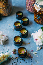 Load image into Gallery viewer, Foundations of Herbal Medicine Workshop Series