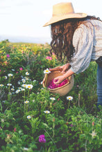 Load image into Gallery viewer, Foundations of Herbal Medicine Advanced Series