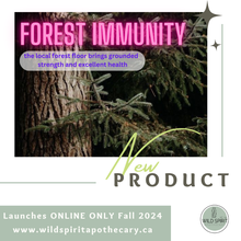 Load image into Gallery viewer, Forest Immunity
