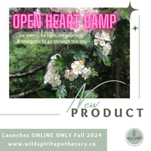 Load image into Gallery viewer, Open Heart Camp
