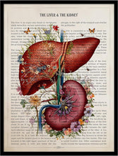 Load image into Gallery viewer, Community Supported Herbalism Monthly Baskets
